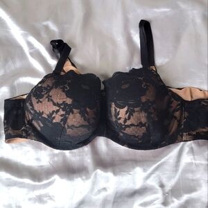 Torrid Curve Black And Gold Lace Padded Bra Size 48B